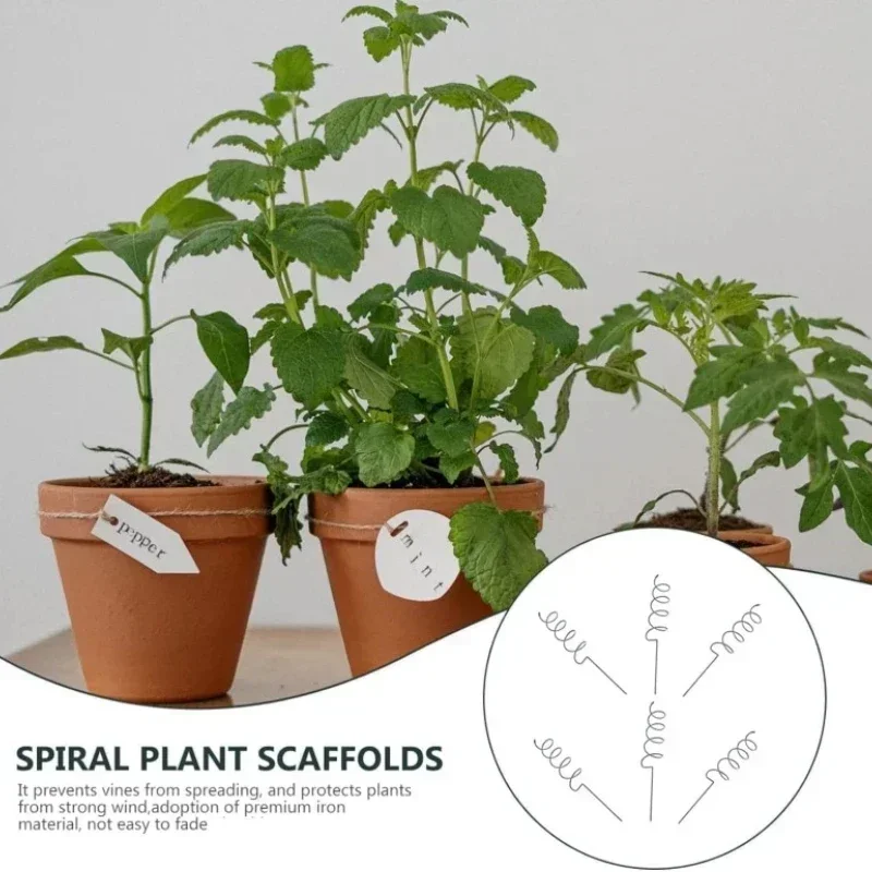 Us Bonsai Garden - Soporte para Plantas Trepadoras, Estaca Espiral