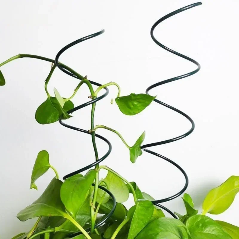 Soporte para Plantas Trepadora - Us Bonsai Garden reseña y precio