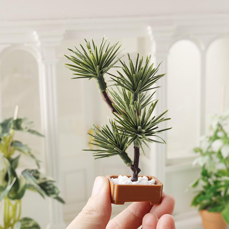 1 unidad de adorno de bonsái p - Us Bonsai Garden reseña y precio