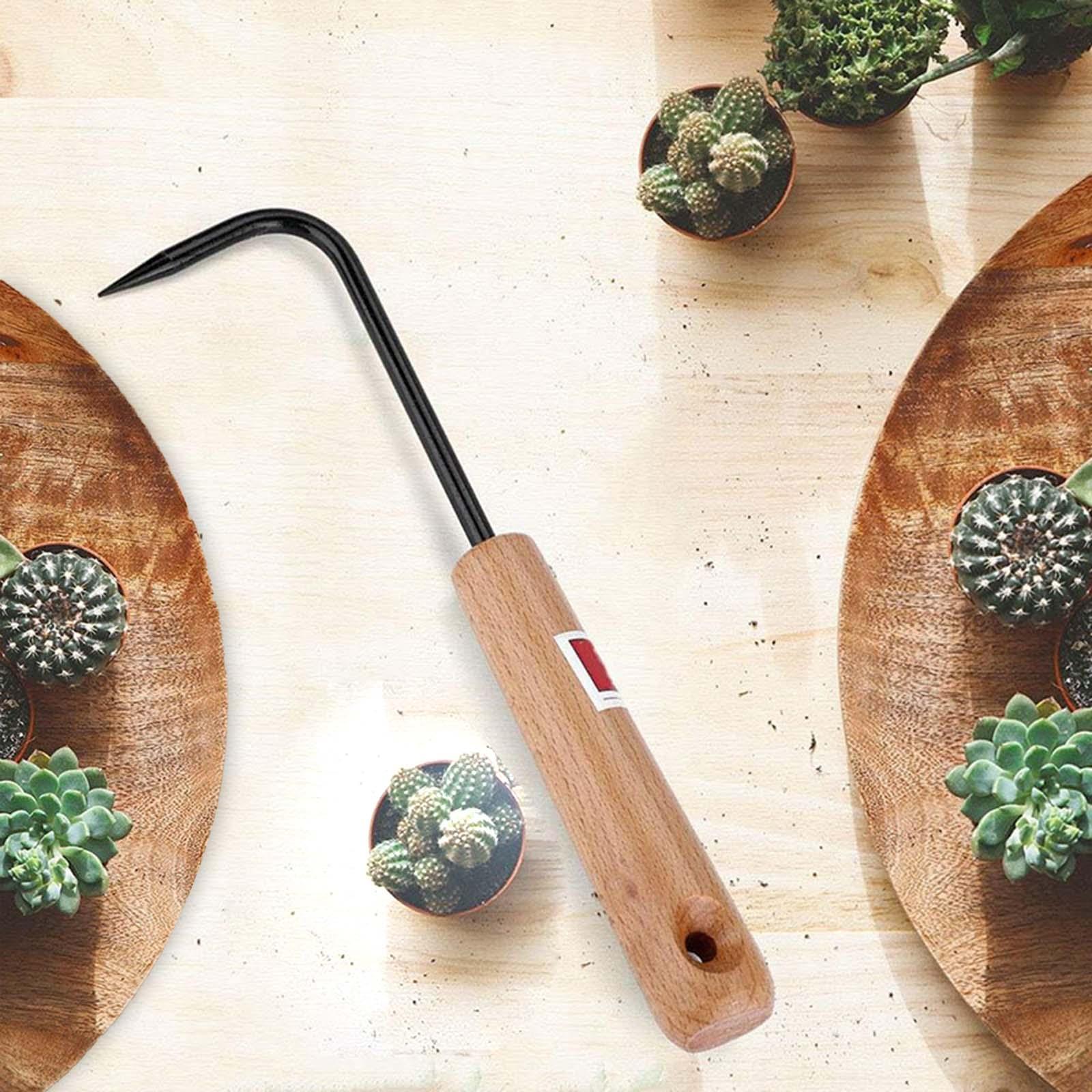 Gancho para Raíces de Bonsái R - Root Hook Tool reseña y precio