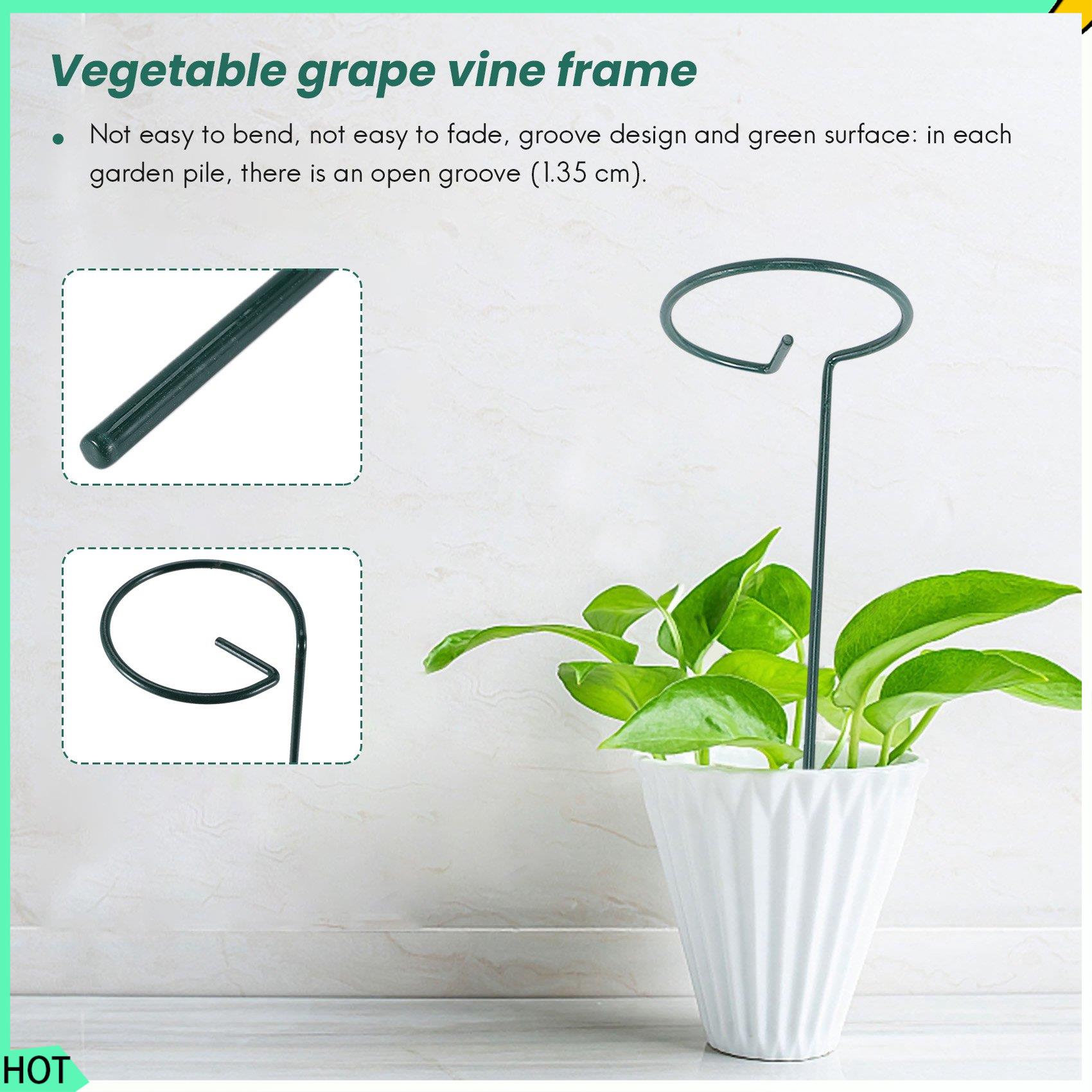 AWAH 8 Uds. Hermoso soporte pa - Bonsai Garden Backyard reseña y precio