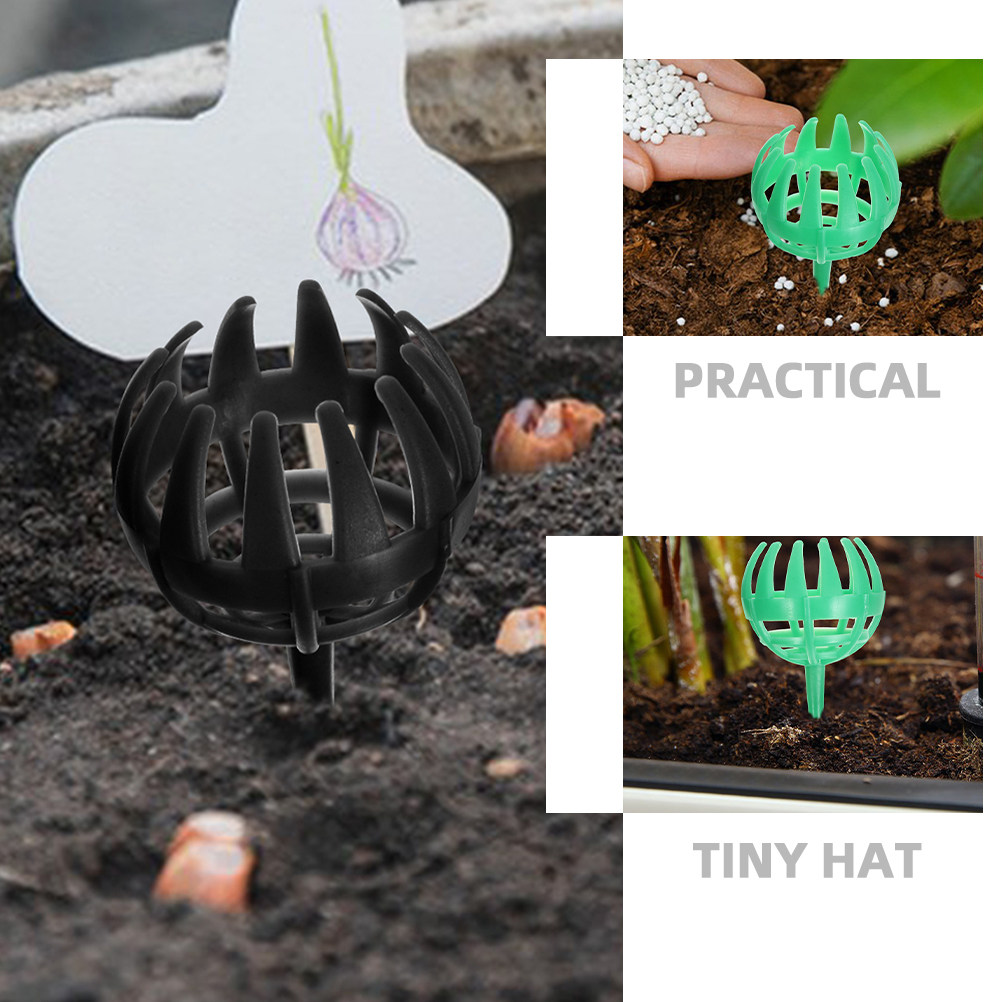 10 Cajas de Fertilizante Reuti - Us Bonsai Garden reseña y precio
