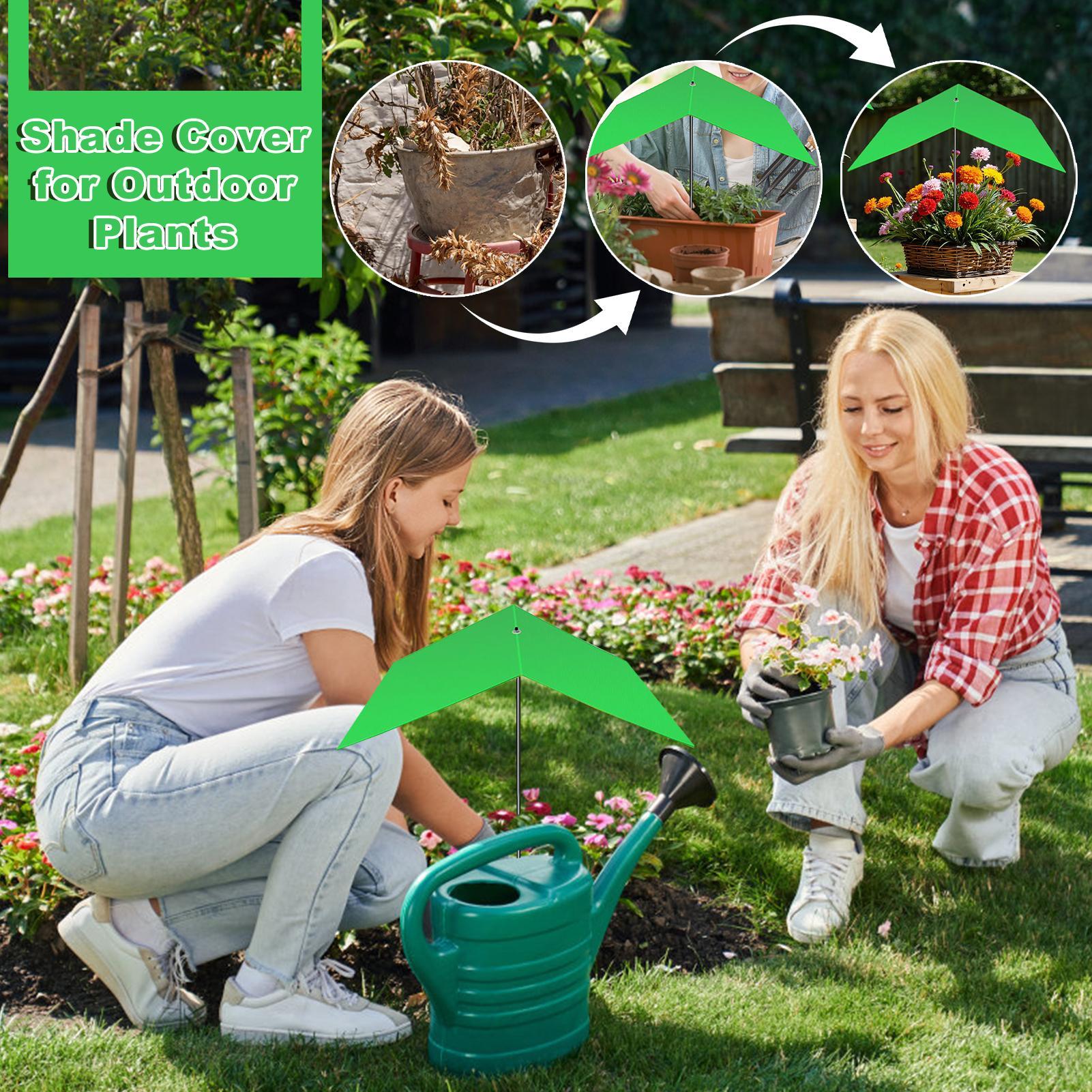 Sombrilla para plantas, cubier - Bonsai Garden Backyard reseña y precio
