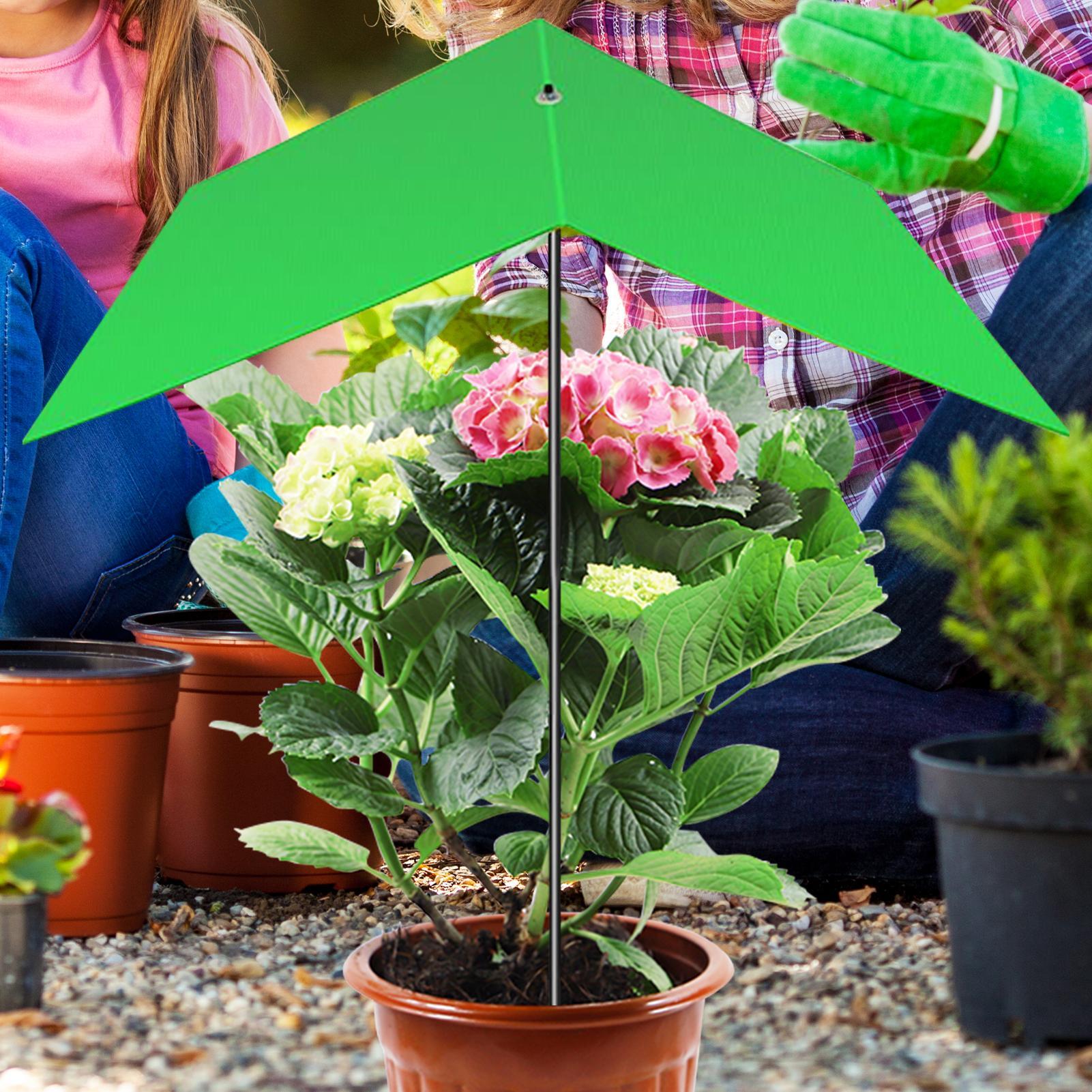 Sombrilla para plantas, cubier - Bonsai Garden Backyard reseña y precio