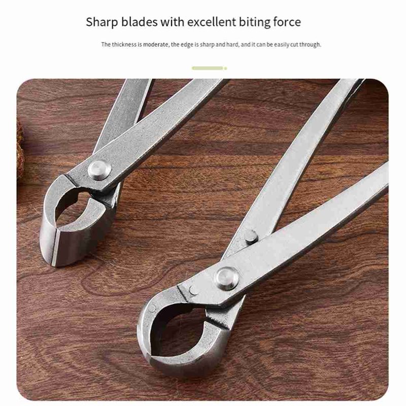 Herramientas para árboles bons - Root Hook Tool reseña y precio