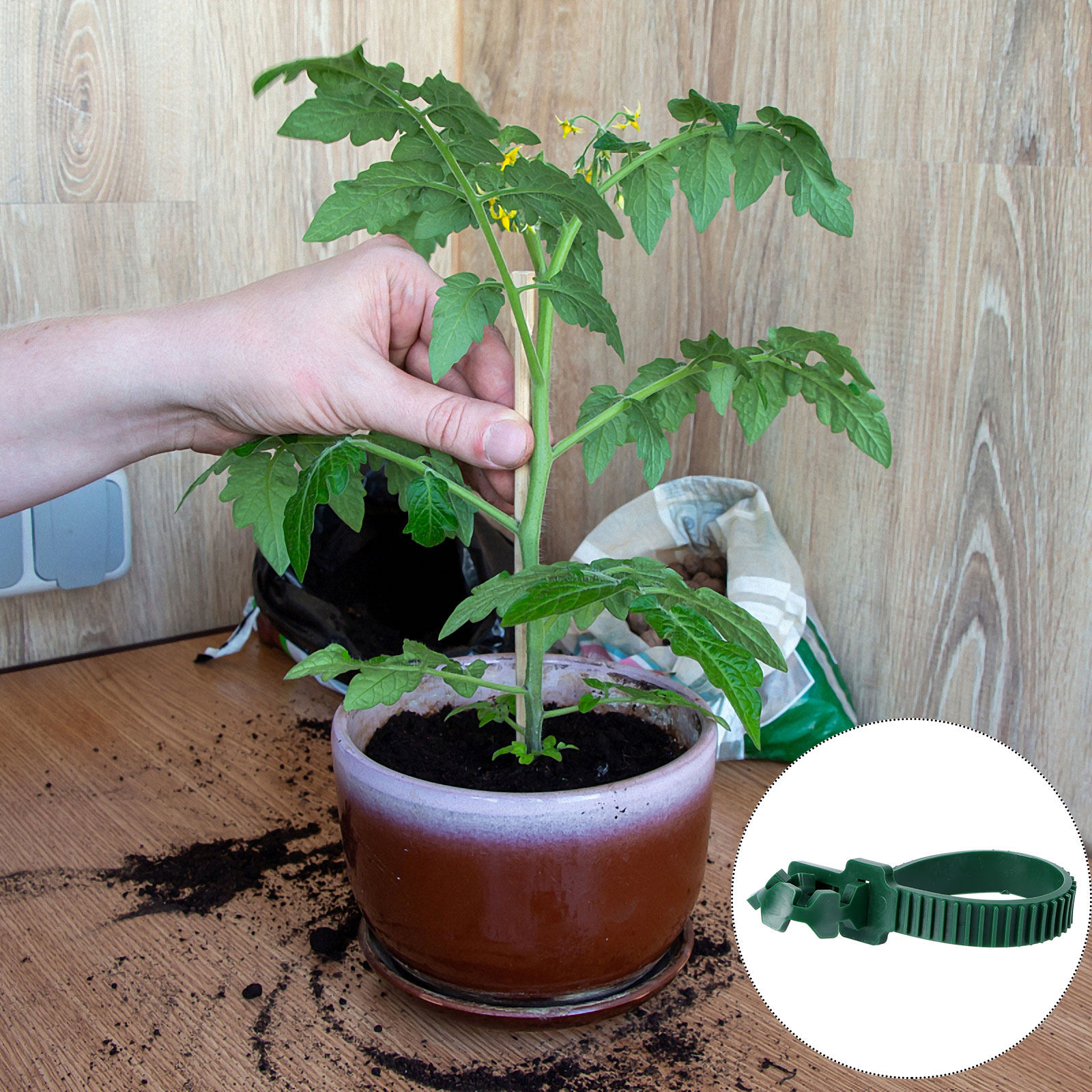 20 Piezas de Hebillas de Fijac - Us Bonsai Garden reseña y precio