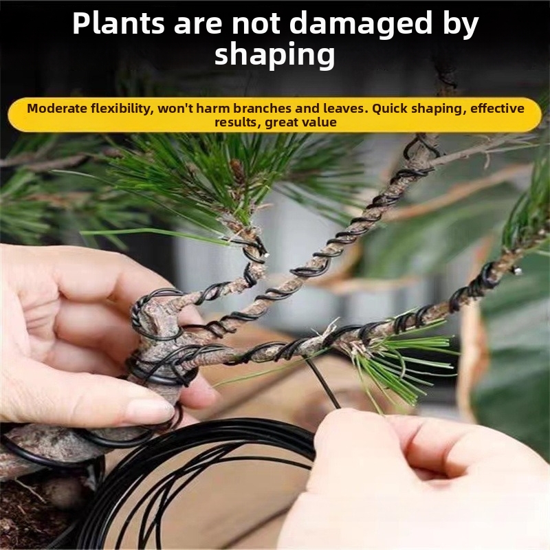 Alambres de aluminio para bons - Us Bonsai Garden reseña y precio