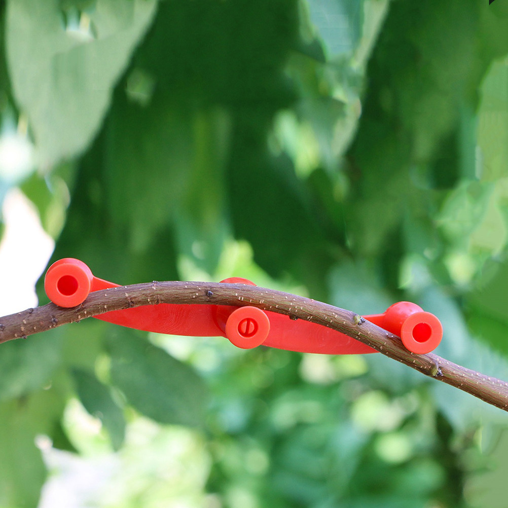 10 Piezas de Soportes Flexible - Us Bonsai Garden reseña y precio