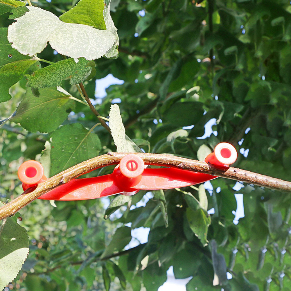 10 Piezas de Soportes Flexible - Us Bonsai Garden reseña y precio