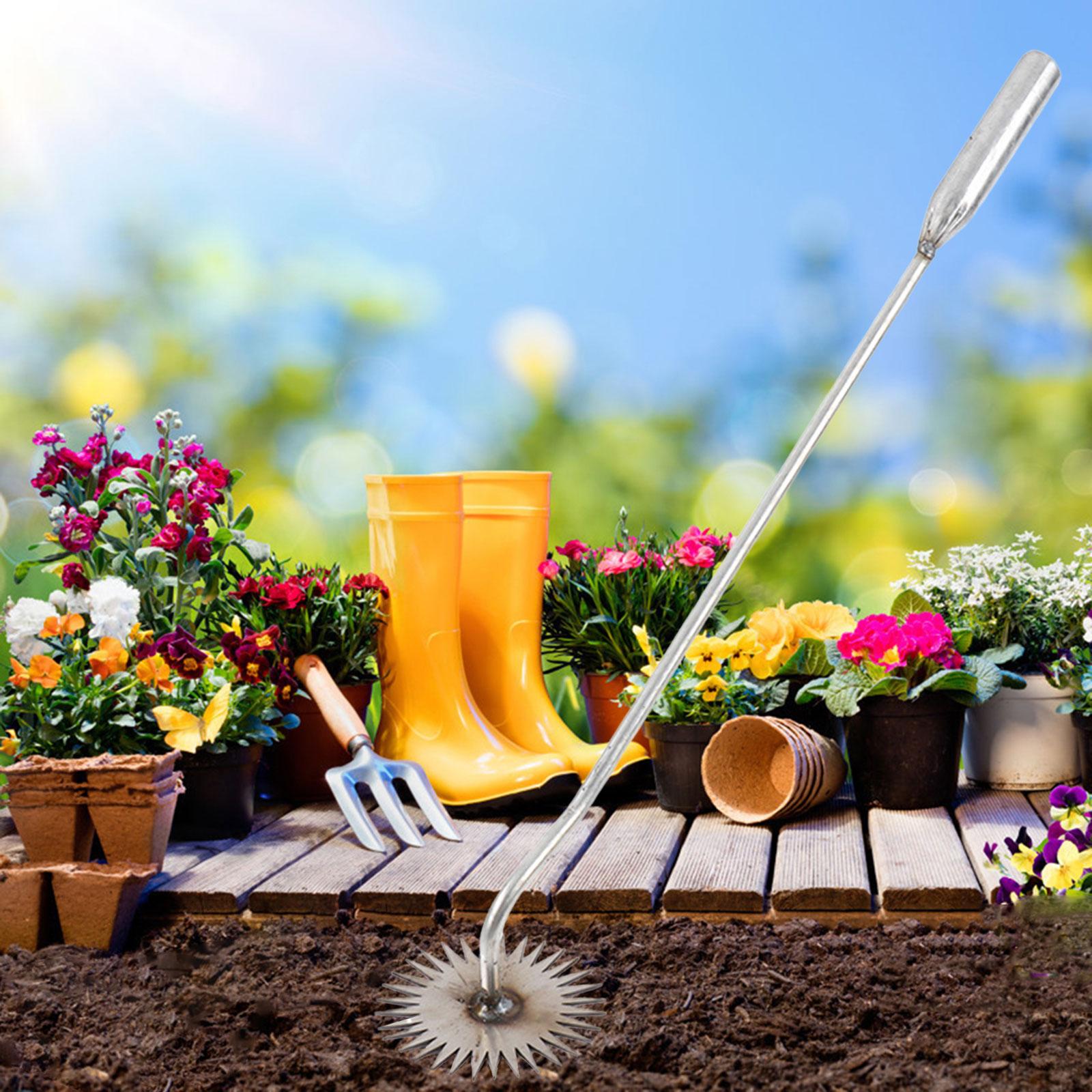 Herramienta para Eliminar Male - Bonsai Garden Backyard reseña y precio