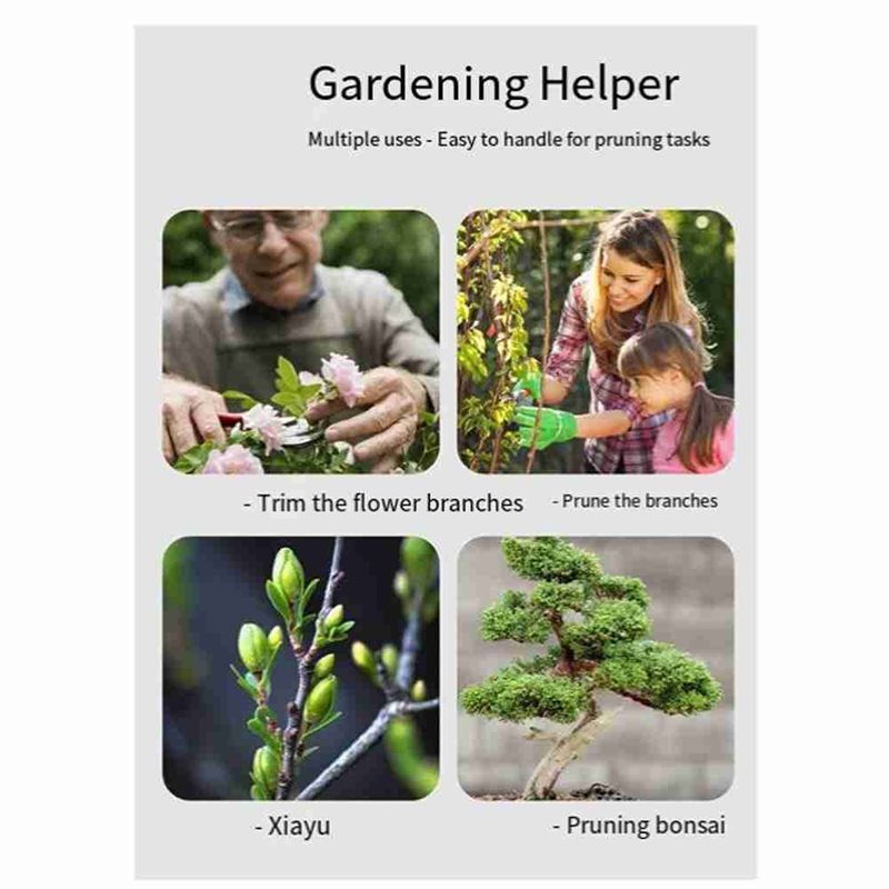 Herramientas para árboles bons - Root Hook Tool reseña y precio