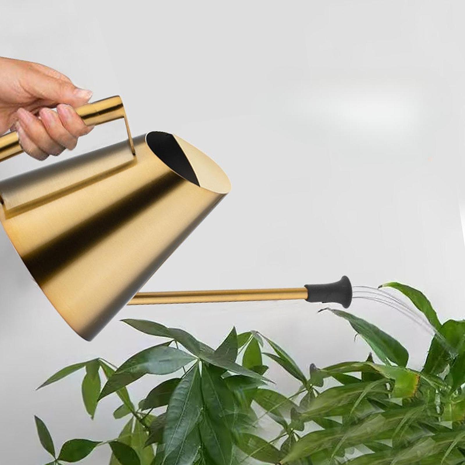 Regadera de 900 ml con cabezal - Bonsai Garden Backyard reseña y precio