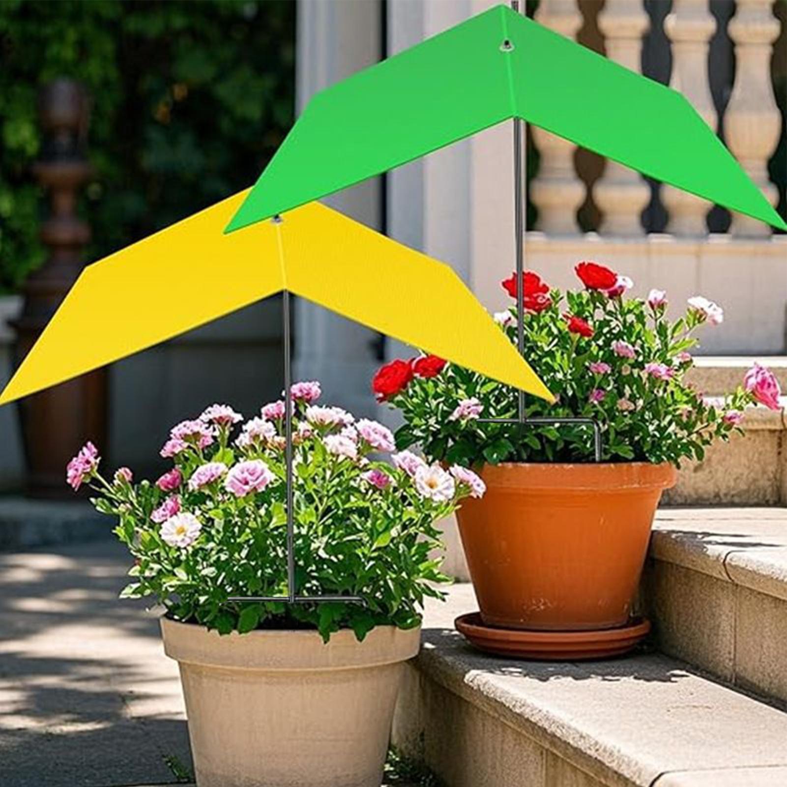 Sombrillas para plantas de ext - Bonsai Garden Backyard reseña y precio